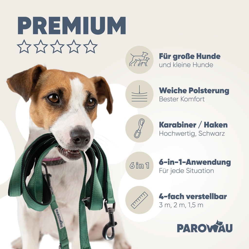PAROWAU Hundeleine 3m + Hundespielzeug Ball (Grün)