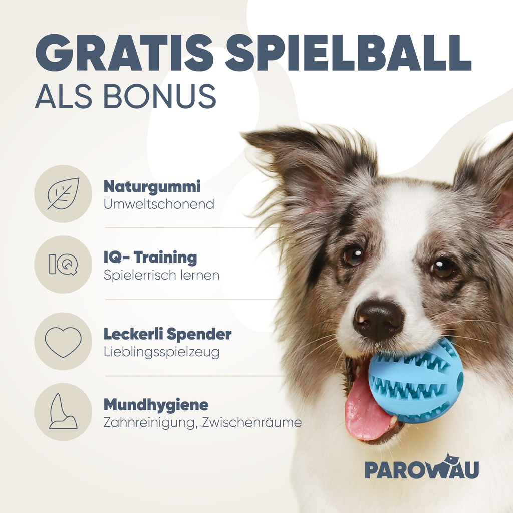 PAROWAU Hundeleine 3m + Hundespielzeug Ball (Grün)