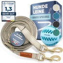 PAROWAU Hundeleine 3m + Hundespielzeug Ball (Beige)
